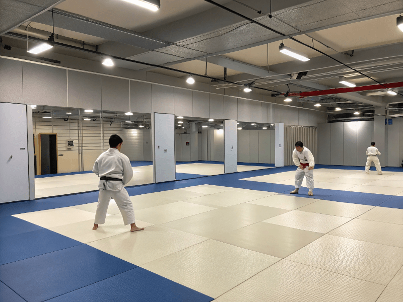 Professional judo mats in training facility